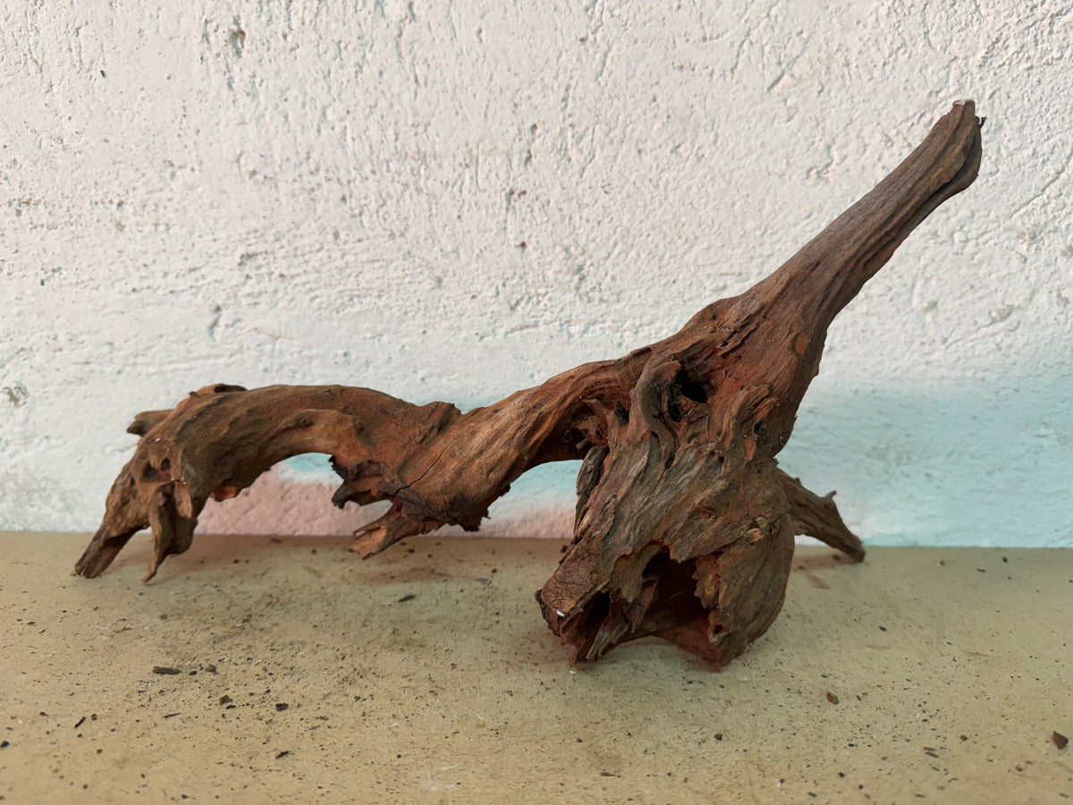 Drift Wood - 41*16*12 - cod.159 WHIMAR