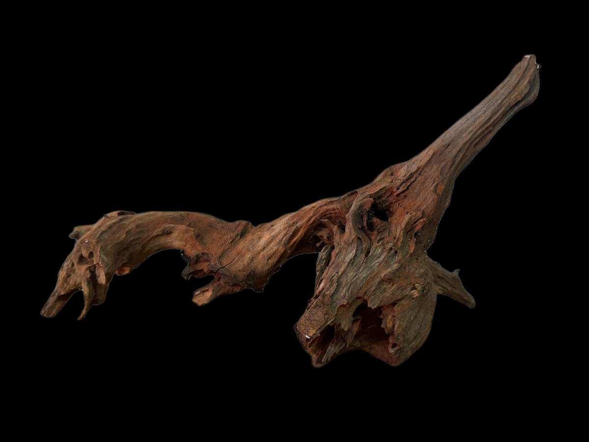 Drift Wood - 41*16*12 - cod.159 WHIMAR