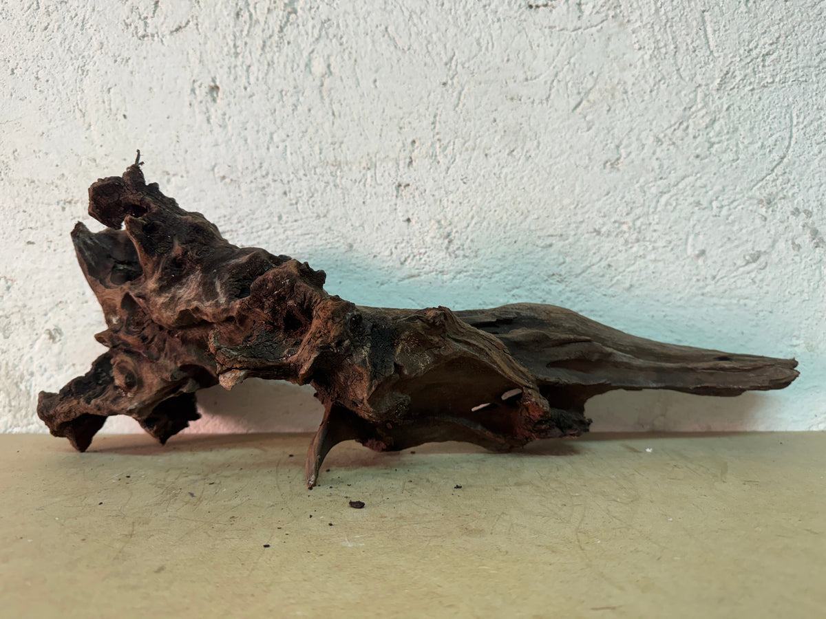 Drift Wood - 50*16*17 - cod.160 WHIMAR