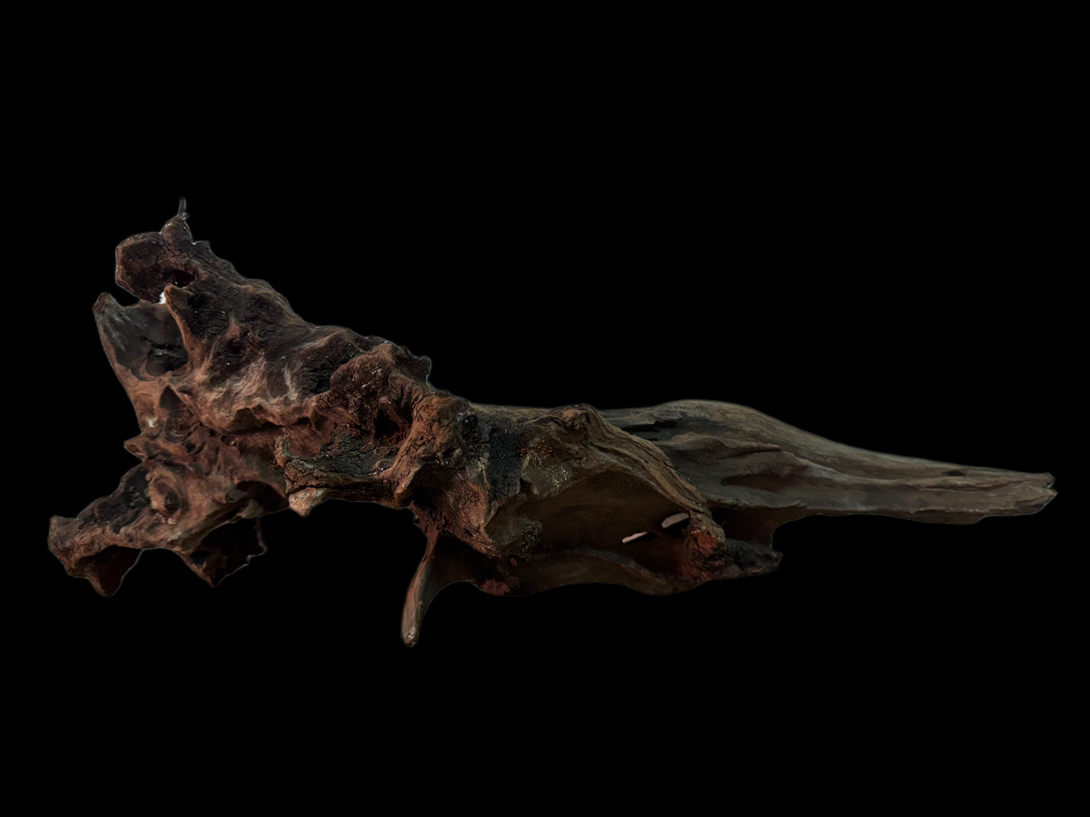 Drift Wood - 50*16*17 - cod.160 WHIMAR