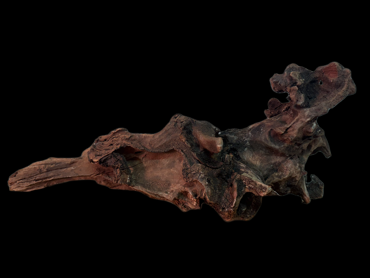 Drift Wood - 50*16*17 - cod.160 WHIMAR