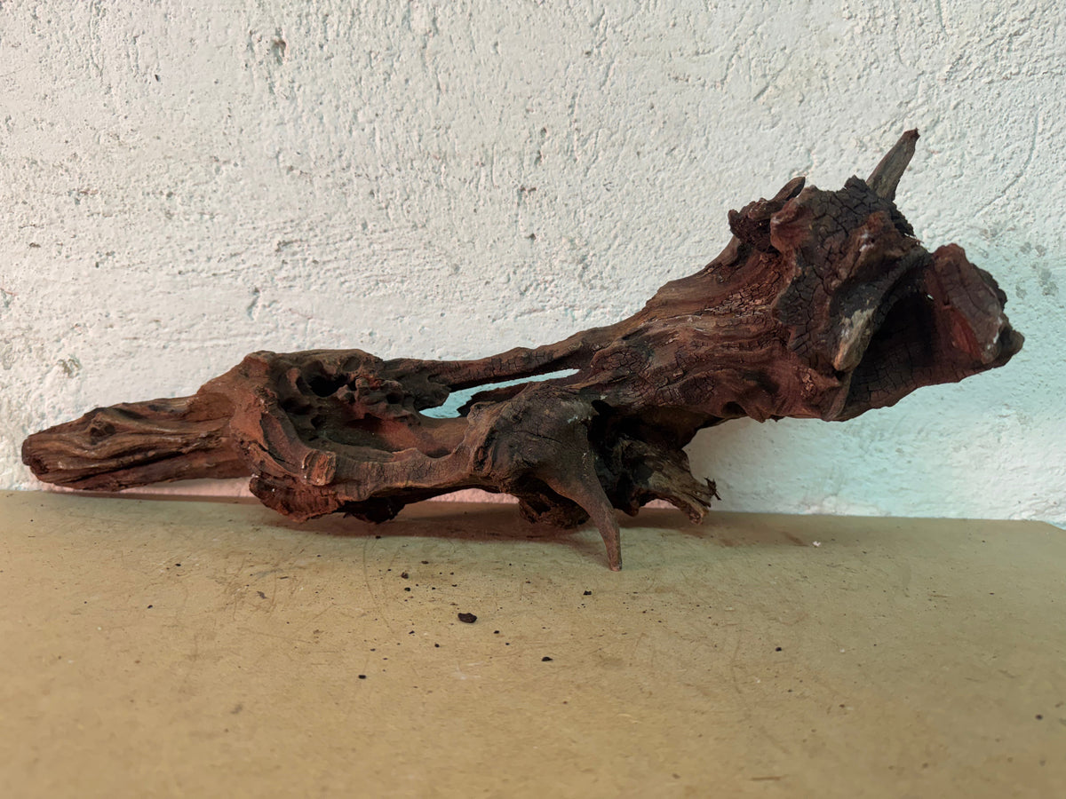 Drift Wood - 50*16*17 - cod.160 WHIMAR