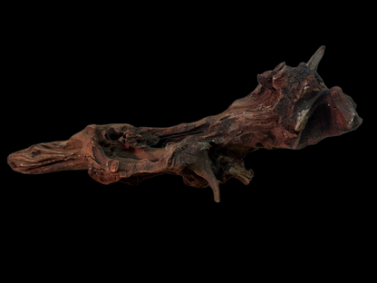 Drift Wood - 50*16*17 - cod.160 WHIMAR