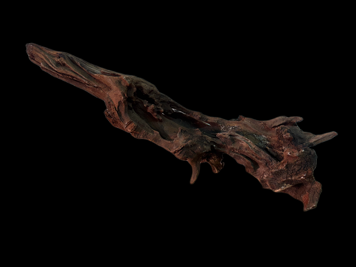 Drift Wood - 50*16*17 - cod.160 WHIMAR