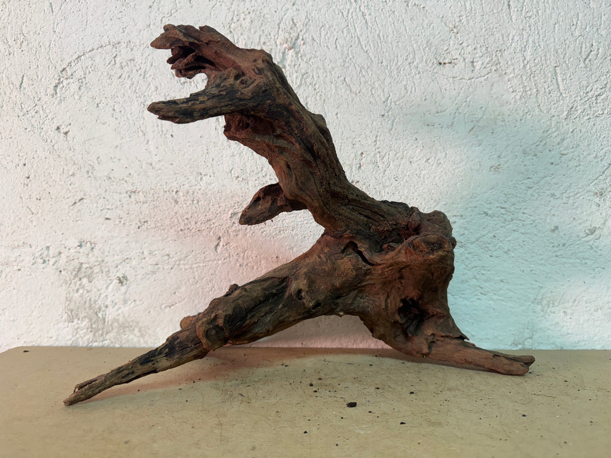Drift Wood - 38*19*29 - cod.161 WHIMAR