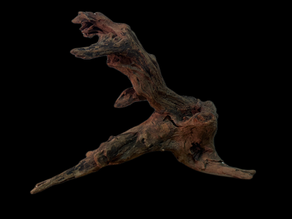 Drift Wood - 38*19*29 - cod.161 WHIMAR