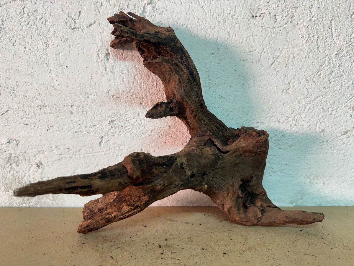 Drift Wood - 38*19*29 - cod.161 WHIMAR