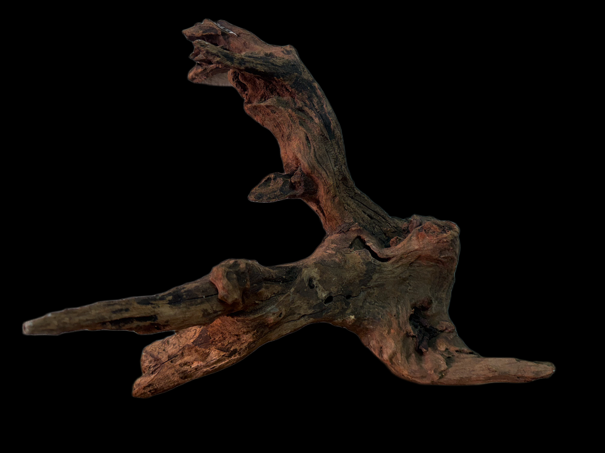Drift Wood - 38*19*29 - cod.161 WHIMAR