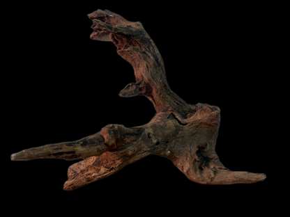 Drift Wood - 38*19*29 - cod.161 WHIMAR