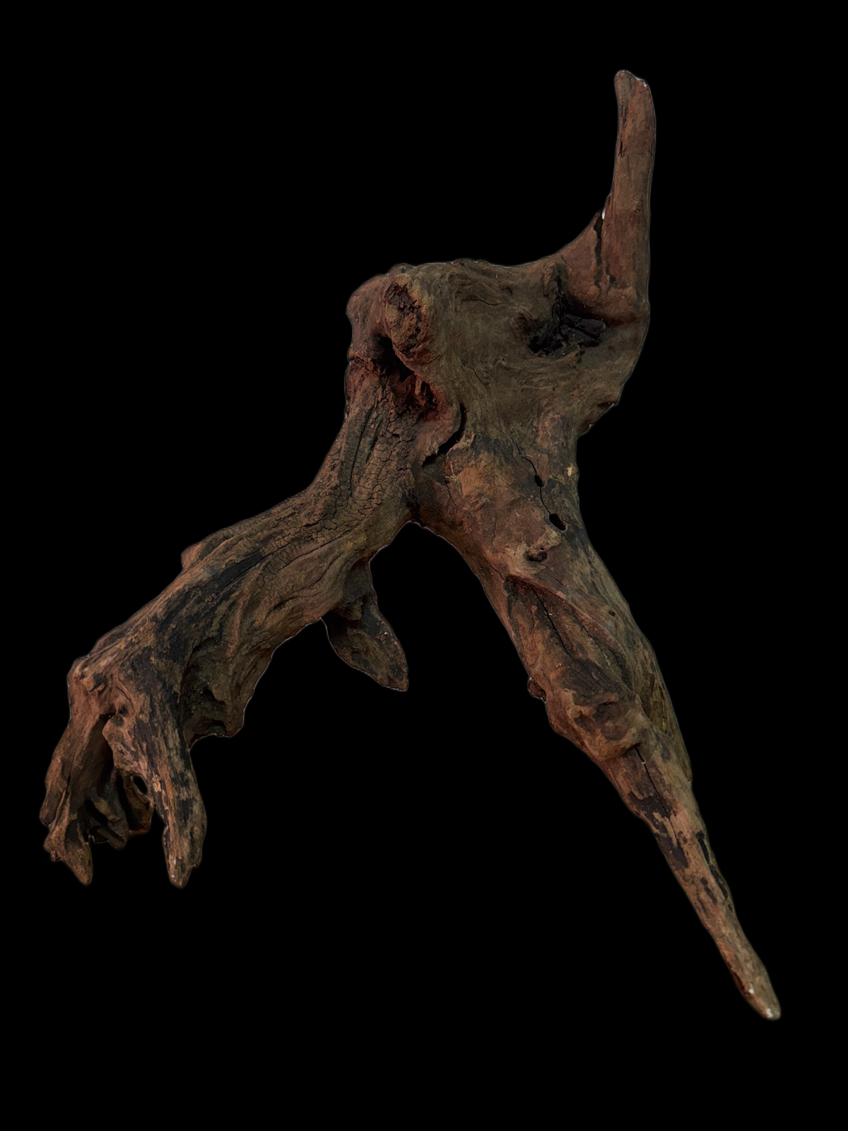 Drift Wood - 38*19*29 - cod.161 WHIMAR