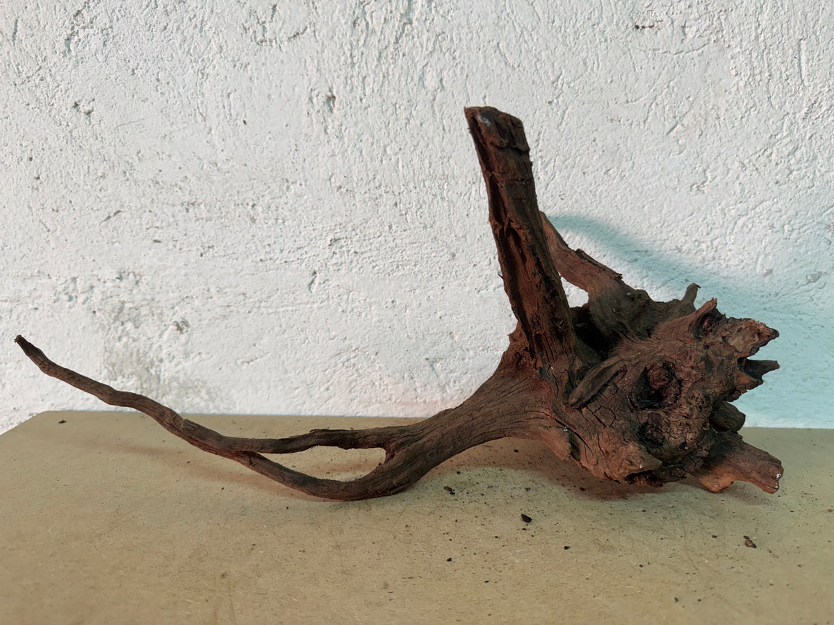 Drift Wood - 49*18*23 - cod.162 WHIMAR