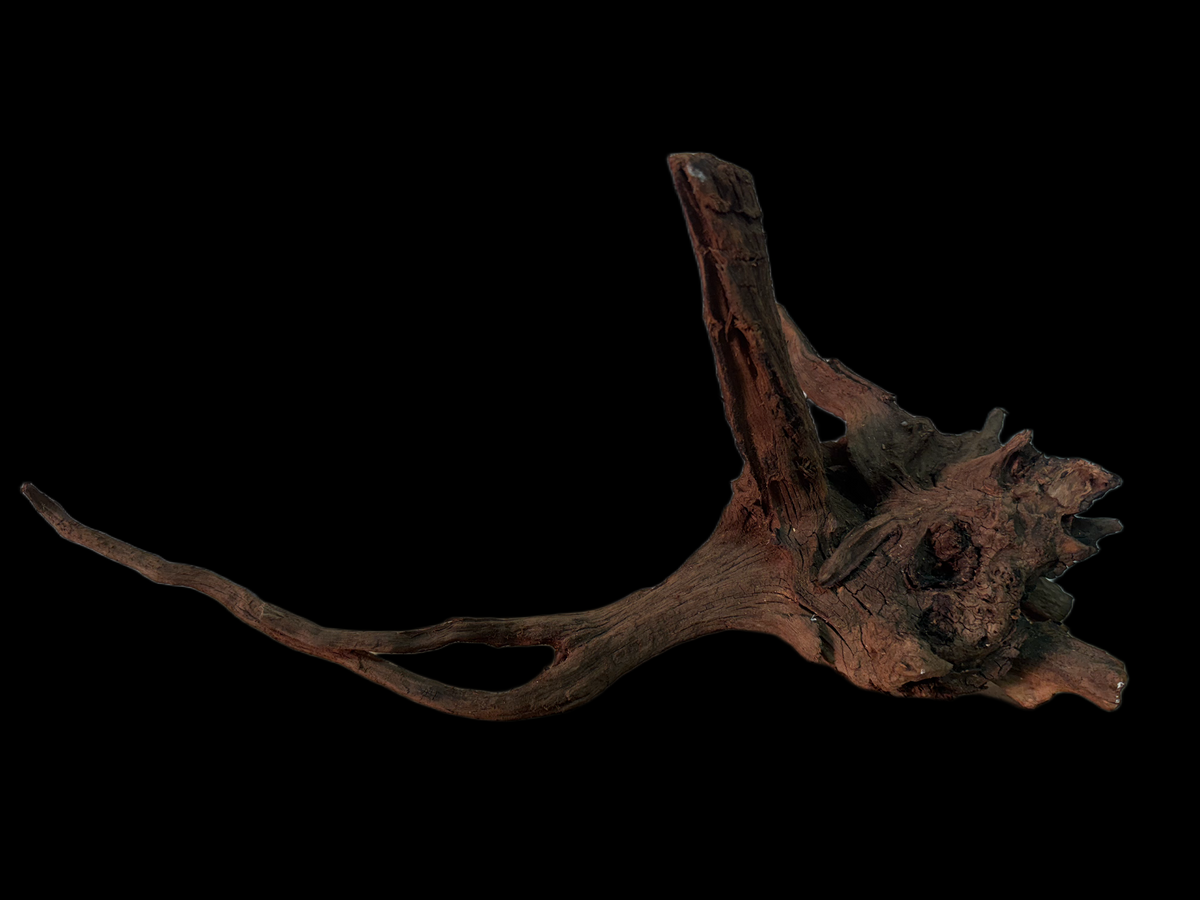Drift Wood - 49*18*23 - cod.162 WHIMAR