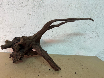 Drift Wood - 49*18*23 - cod.162 WHIMAR