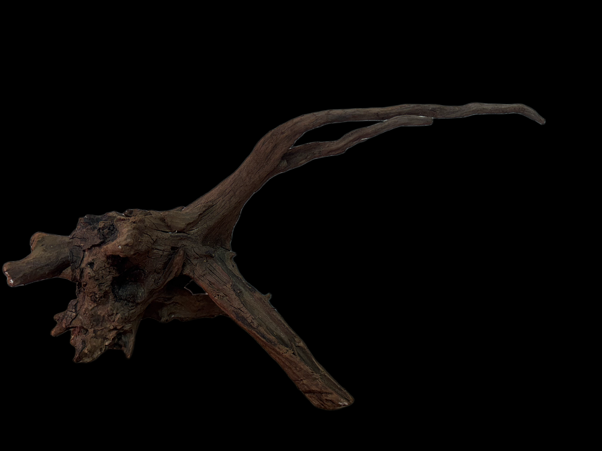Drift Wood - 49*18*23 - cod.162 WHIMAR