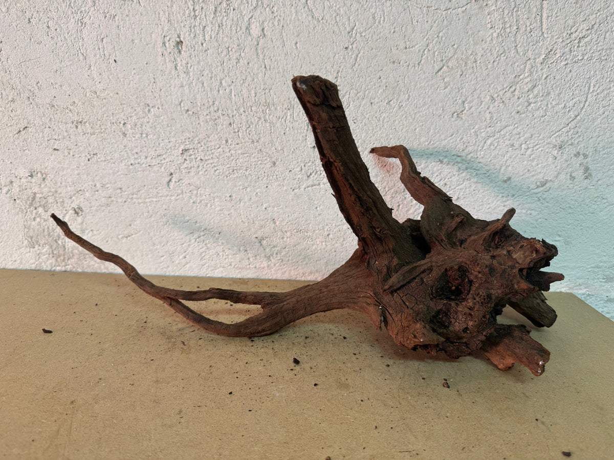 Drift Wood - 49*18*23 - cod.162 WHIMAR