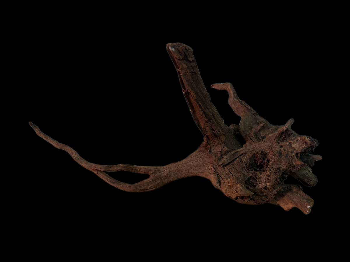 Drift Wood - 49*18*23 - cod.162 WHIMAR