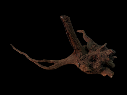 Drift Wood - 49*18*23 - cod.162 WHIMAR