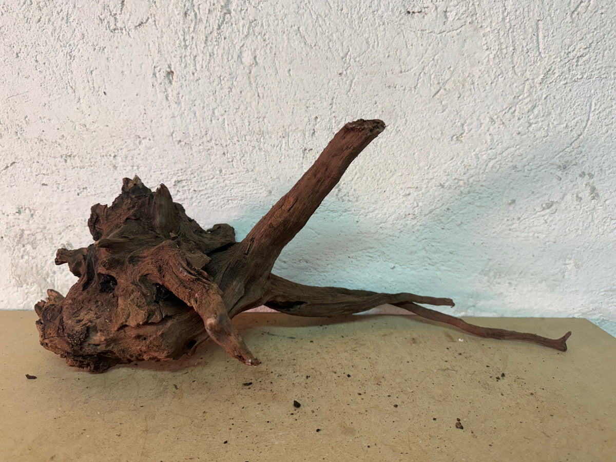 Drift Wood - 49*18*23 - cod.162 WHIMAR