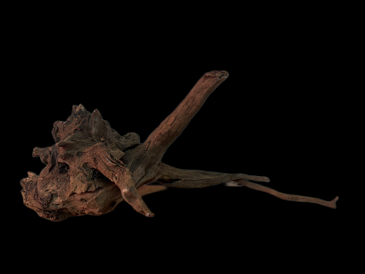 Drift Wood - 49*18*23 - cod.162 WHIMAR