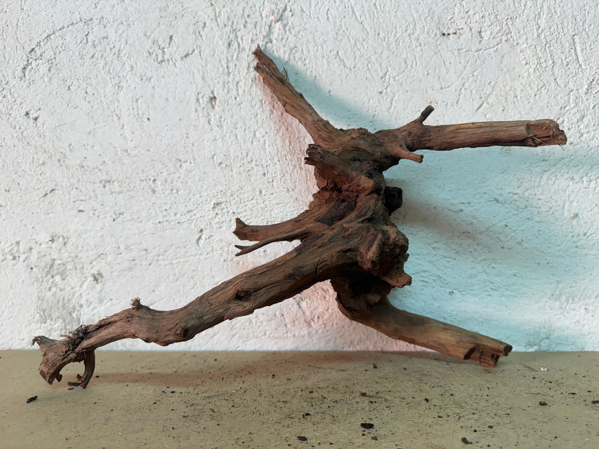 Drift Wood - 39*16*31 - cod.163 WHIMAR
