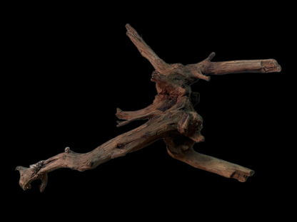 Drift Wood - 39*16*31 - cod.163 WHIMAR