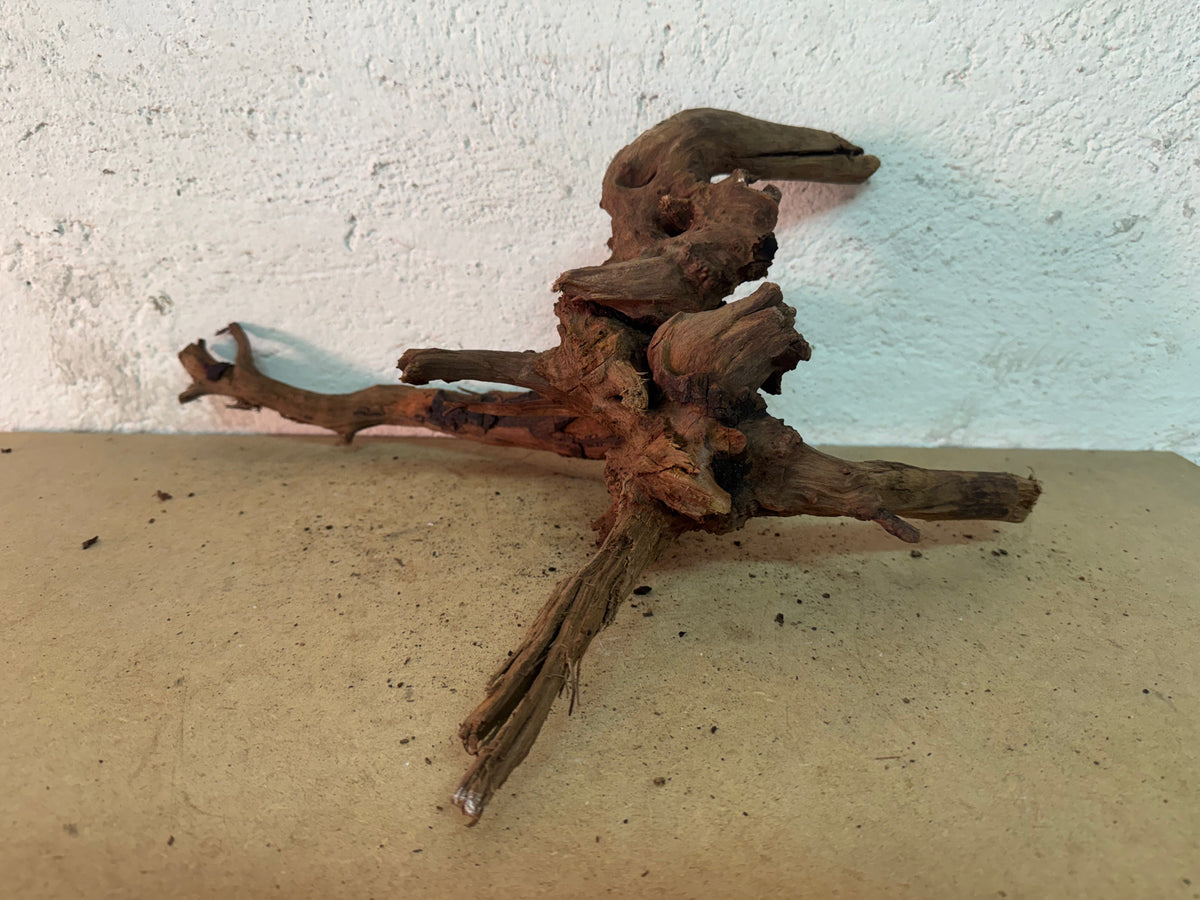 Drift Wood - 35*22*22 - cod.164 WHIMAR