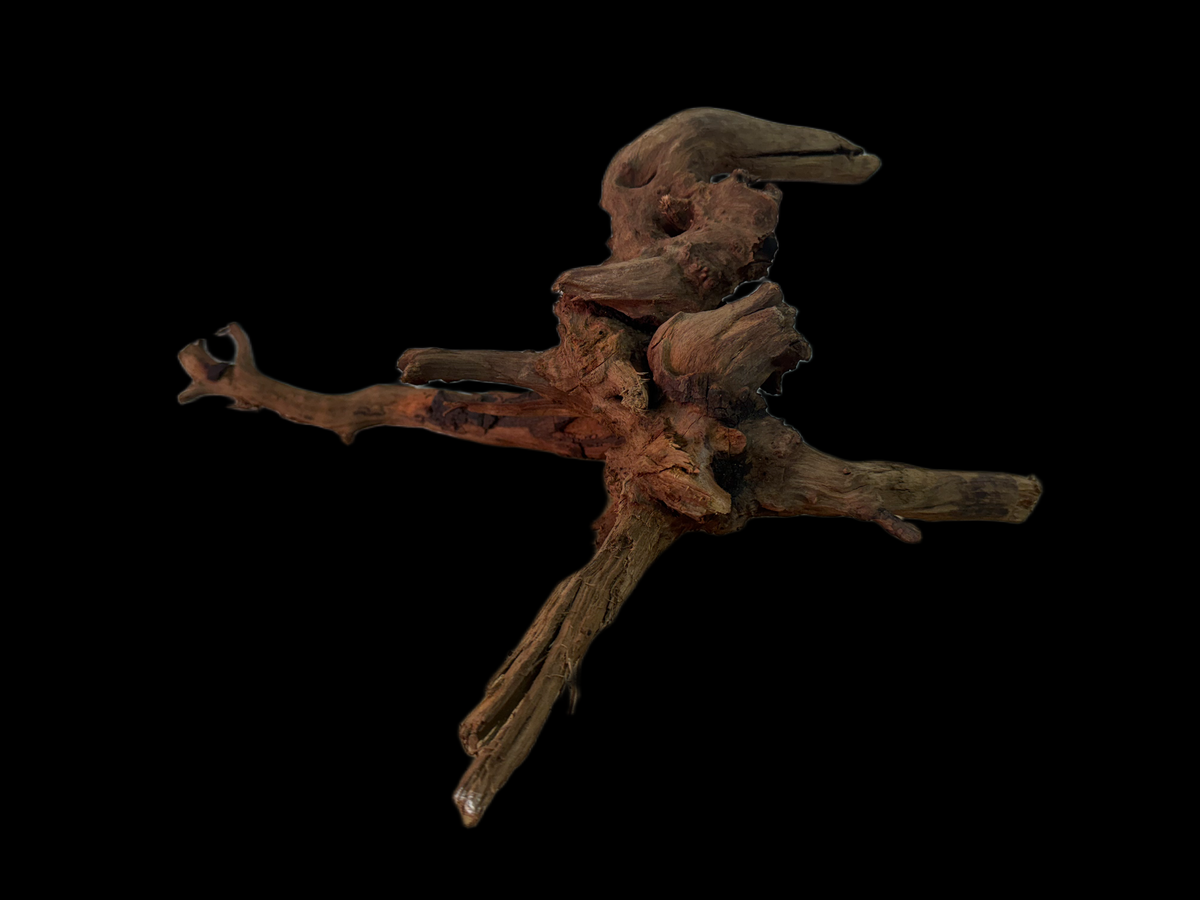 Drift Wood - 39*16*31 - cod.163 WHIMAR