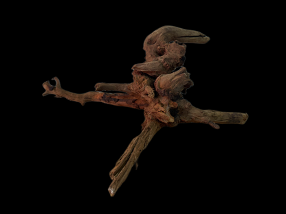 Drift Wood - 39*16*31 - cod.163 WHIMAR