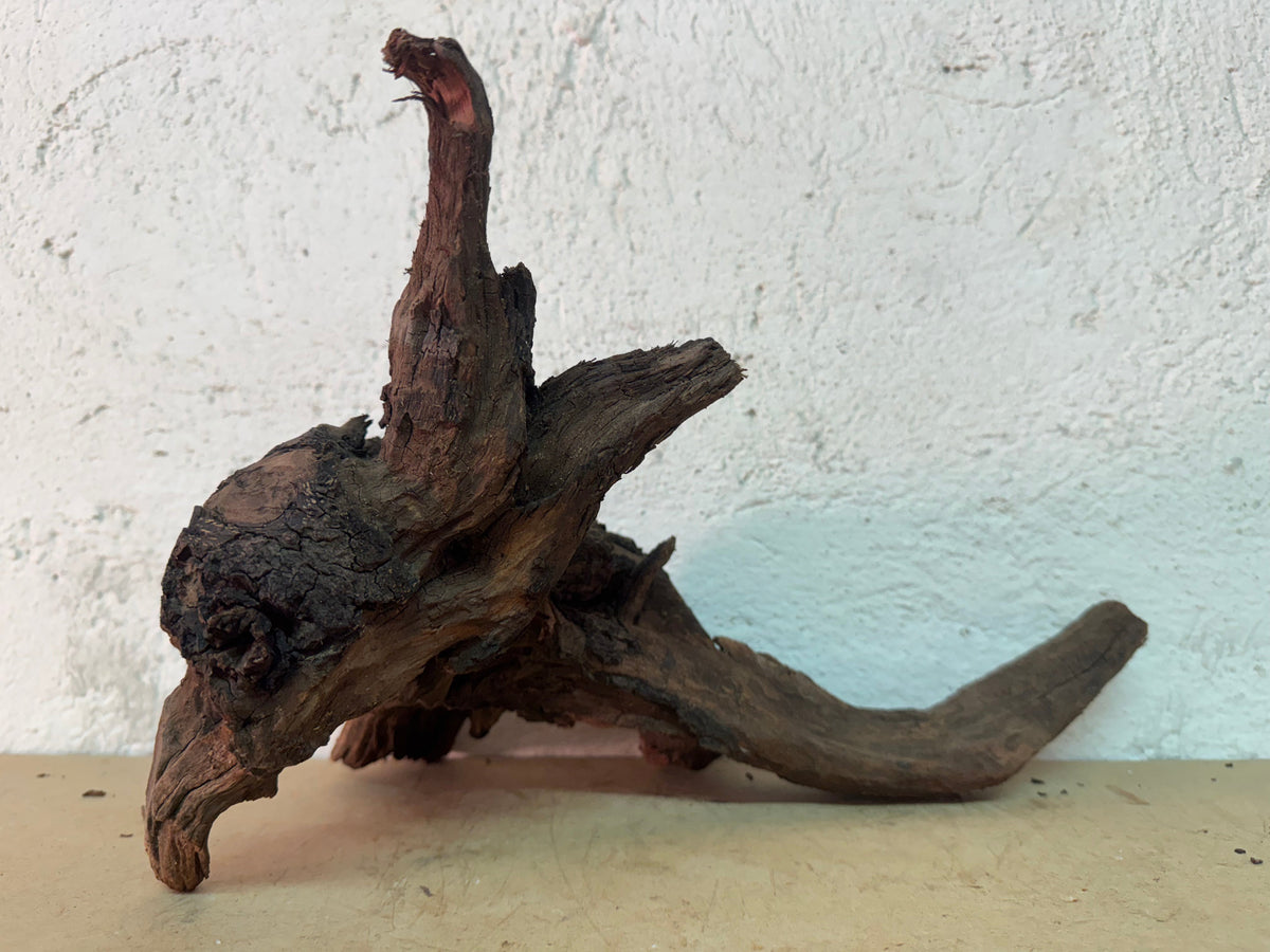 Drift Wood - 35*22*22 - cod.164 WHIMAR