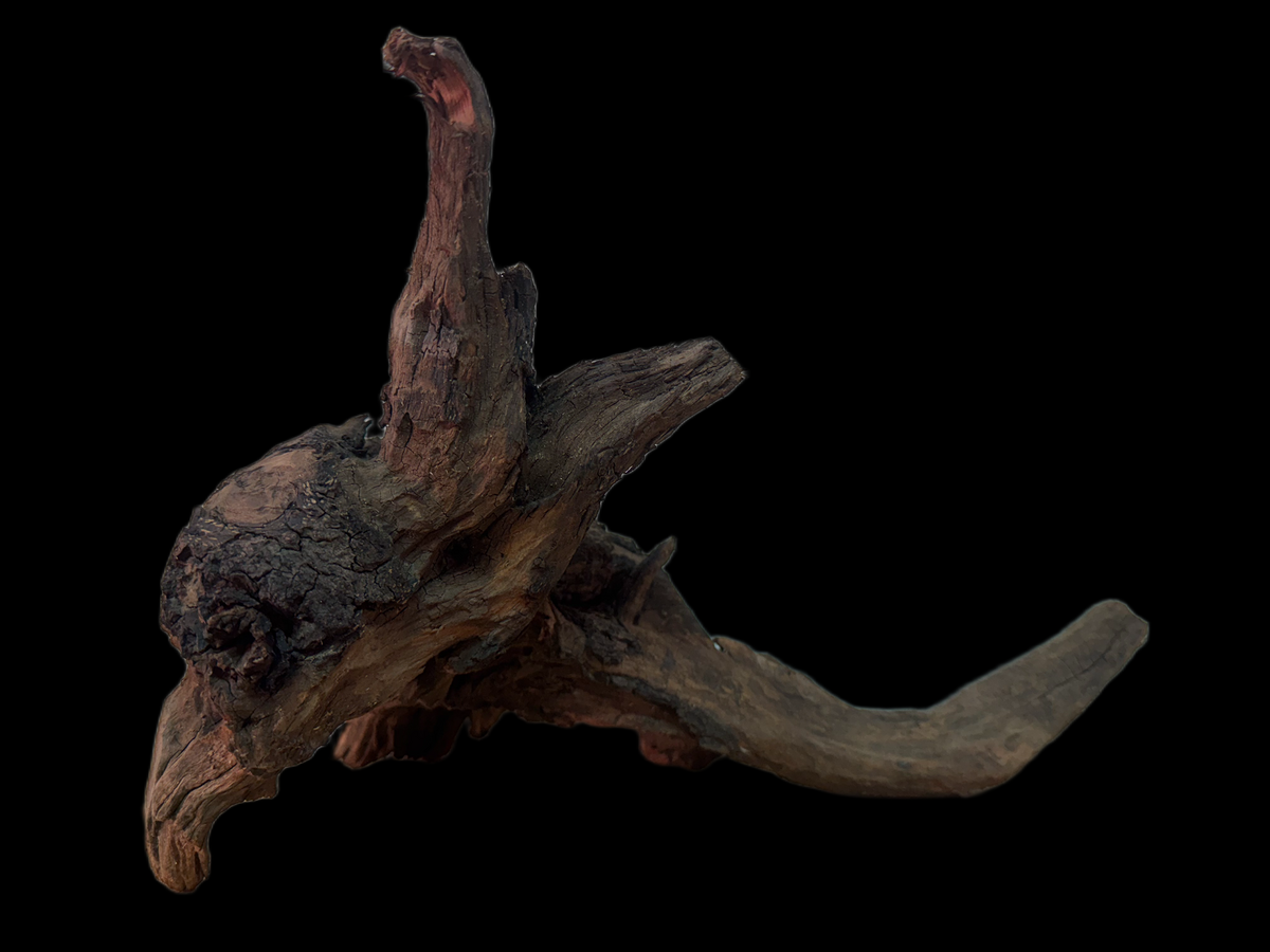 Drift Wood - 35*22*22 - cod.164 WHIMAR