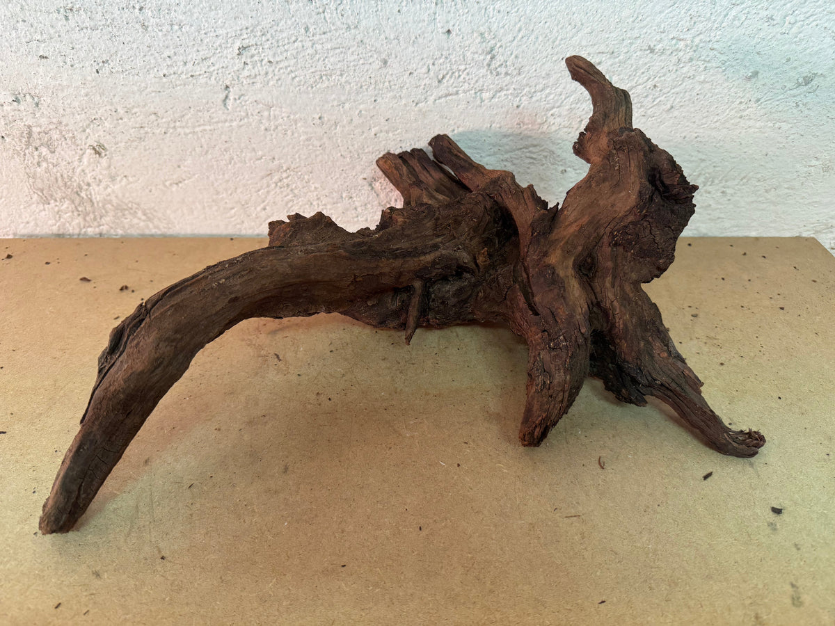 Drift Wood - 35*22*22 - cod.164 WHIMAR