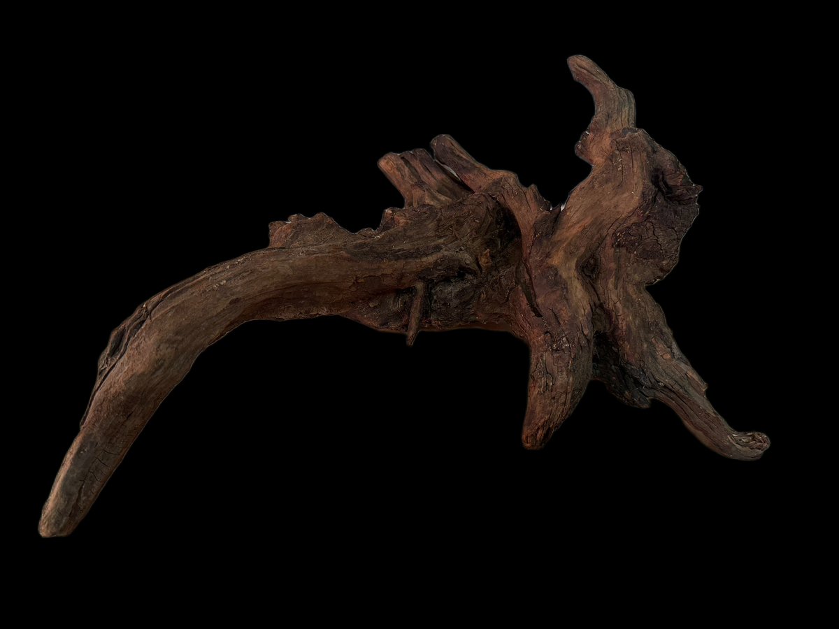 Drift Wood - 35*22*22 - cod.164 WHIMAR