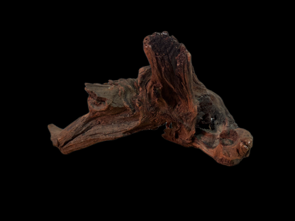 Drift Wood - 35*22*22 - cod.164 WHIMAR