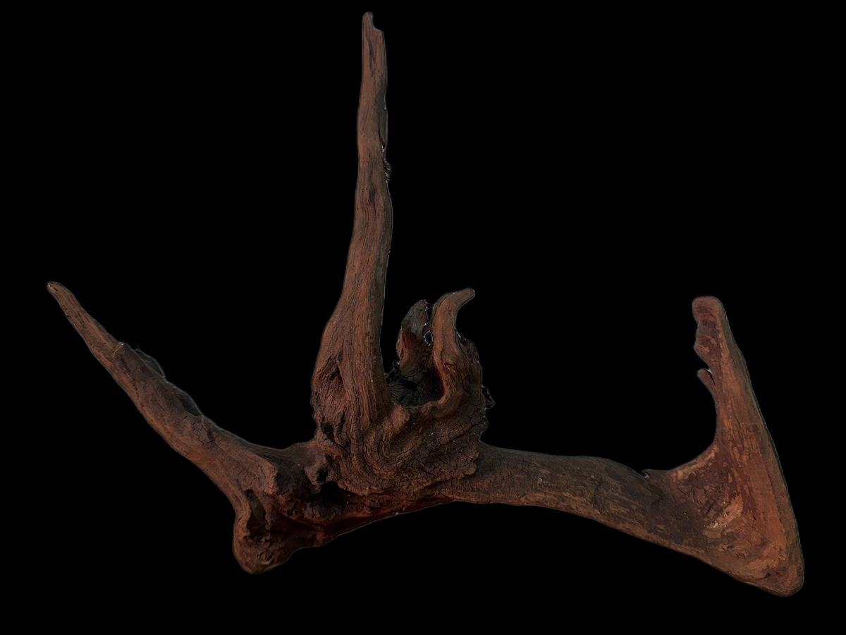 Drift Wood - 38*8*29 - cod.165 WHIMAR