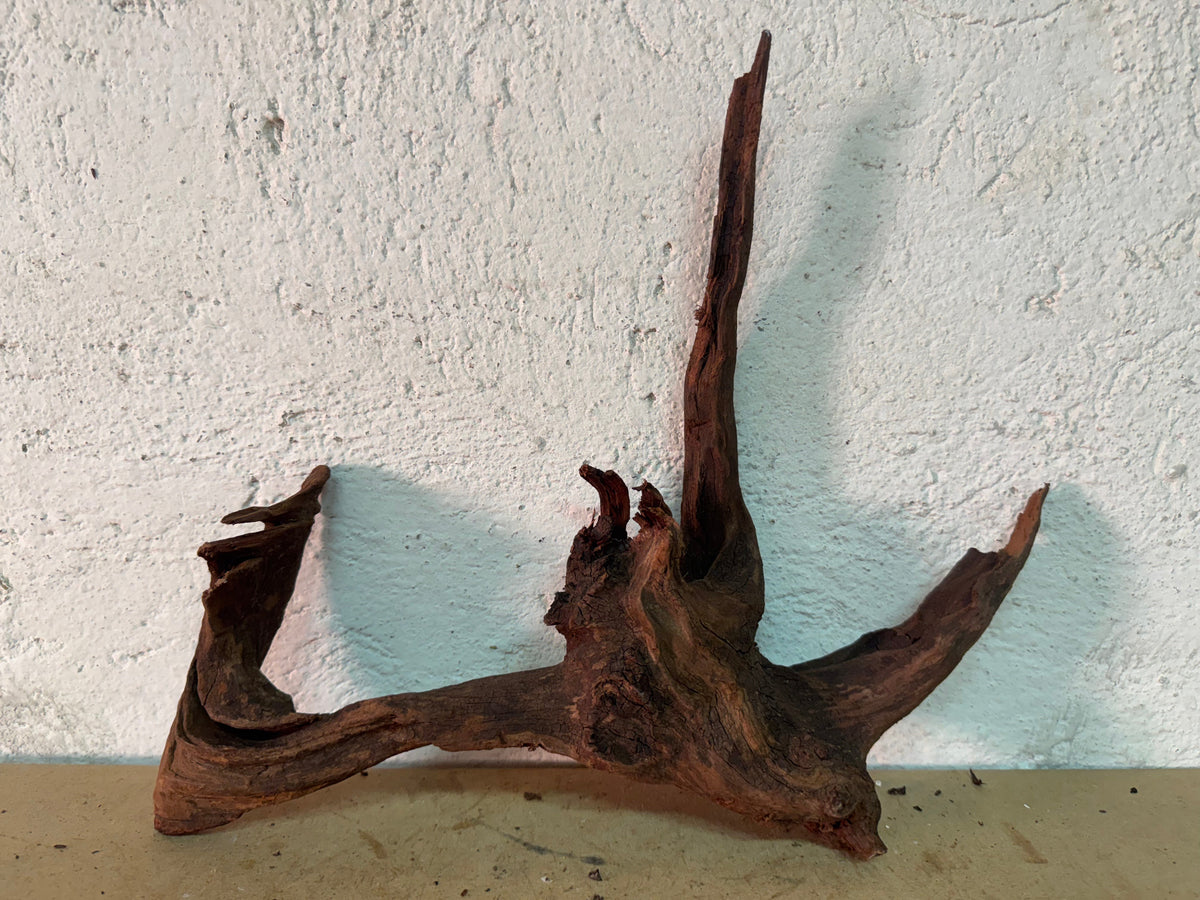 Drift Wood - 38*8*29 - cod.165 WHIMAR