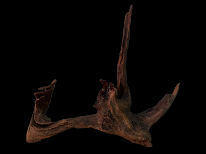 Drift Wood - 38*8*29 - cod.165 WHIMAR