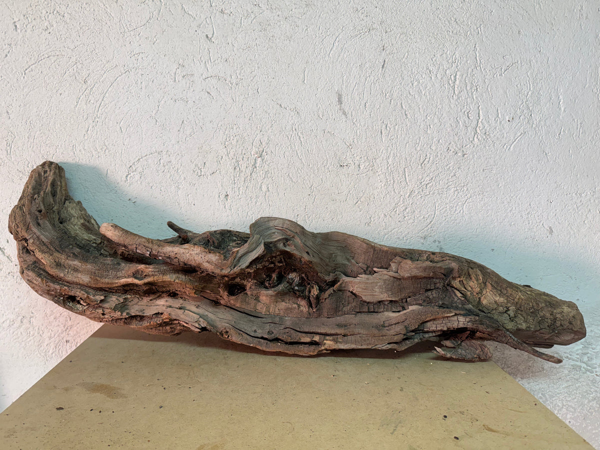 Drift Wood - 108*26*20 - cod.166 WHIMAR