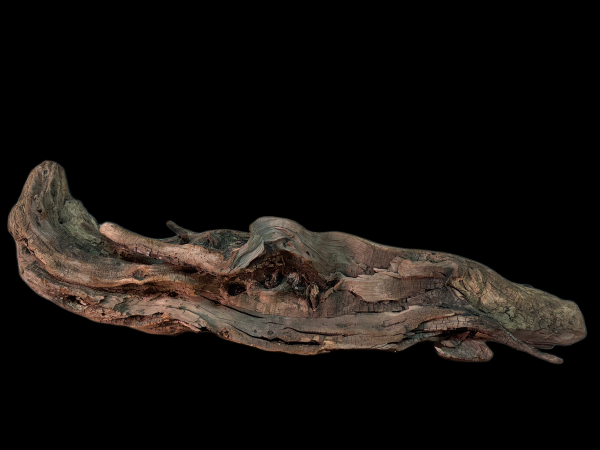 Drift Wood - 108*26*20 - cod.166 WHIMAR