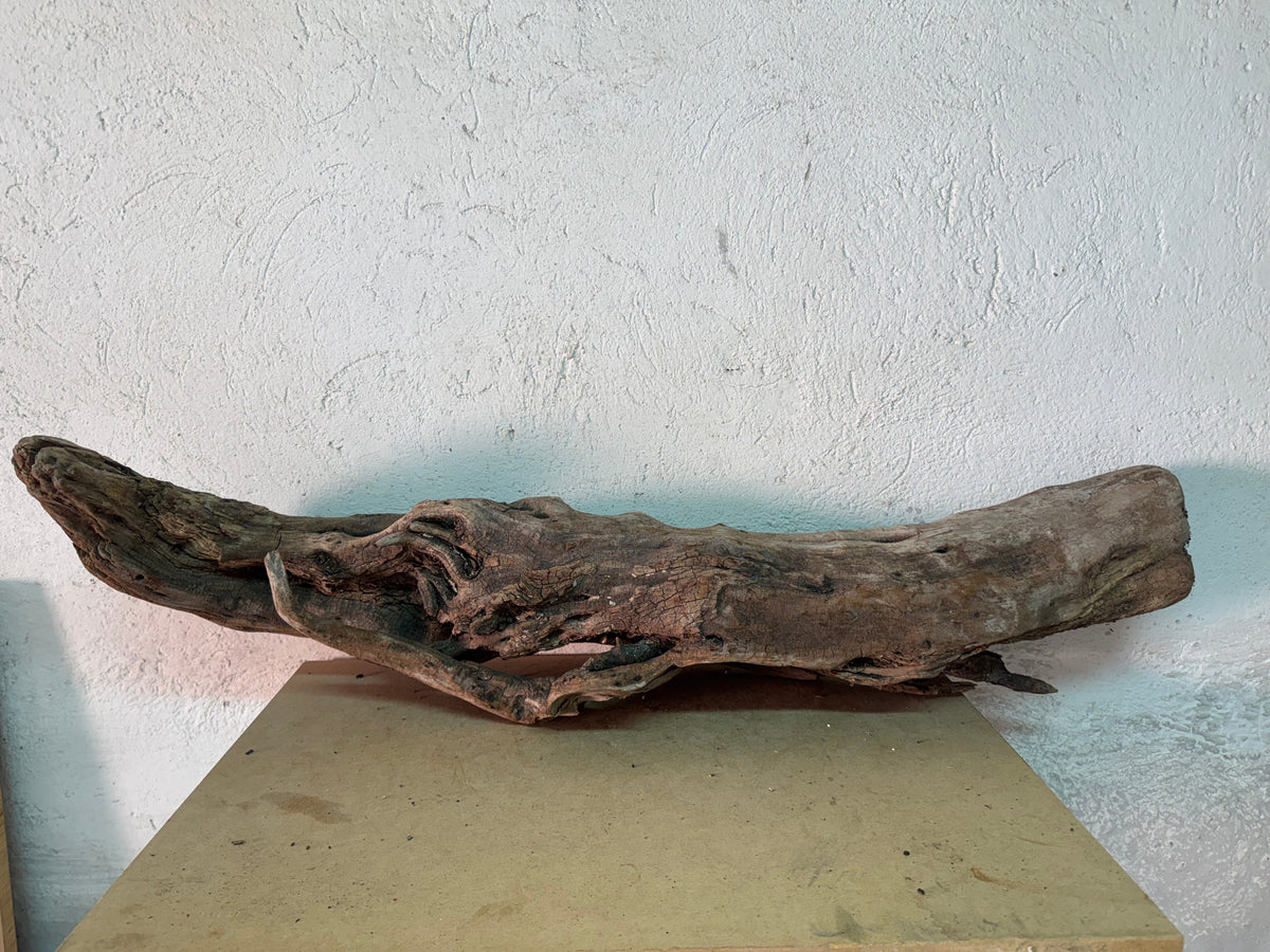 Drift Wood - 108*26*20 - cod.166 WHIMAR