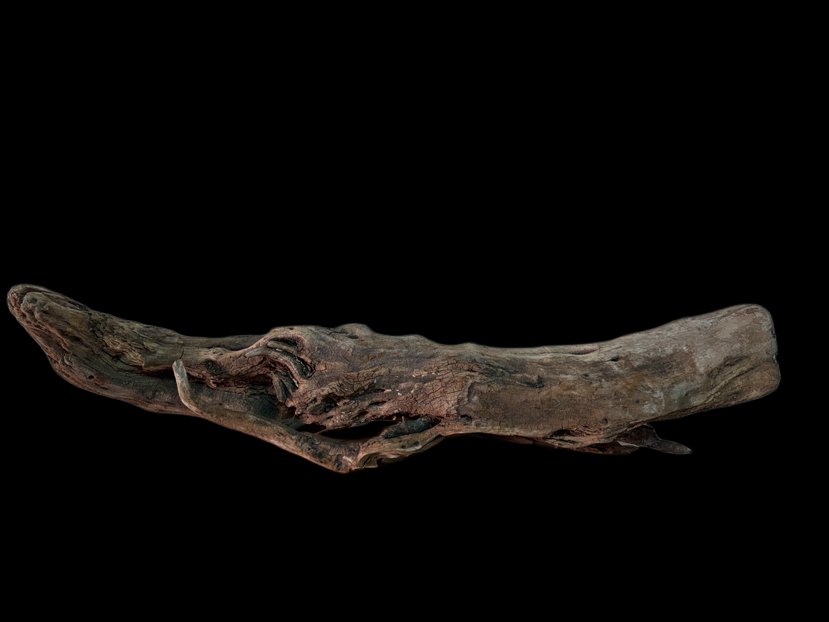 Drift Wood - 108*26*20 - cod.166 WHIMAR