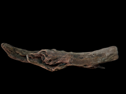 Drift Wood - 108*26*20 - cod.166 WHIMAR