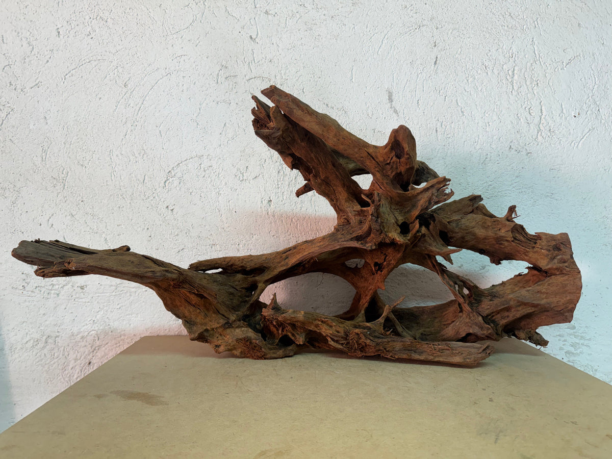 Mangrovia Wood - 79*34*40 - cod.167 WHIMAR