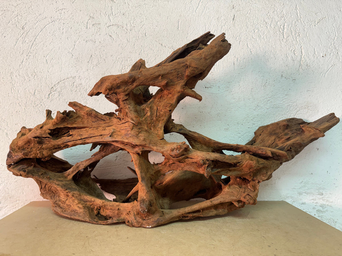 Mangrovia Wood - 79*34*40 - cod.167 WHIMAR