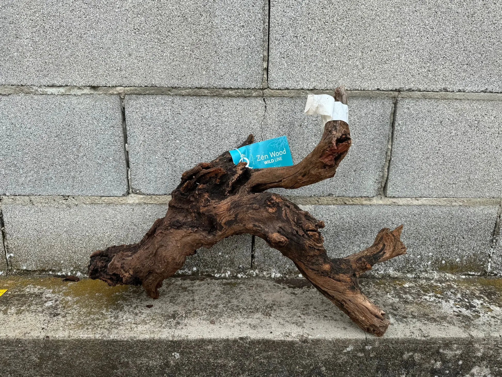 Drift Wood - 55*15*40 AQPET