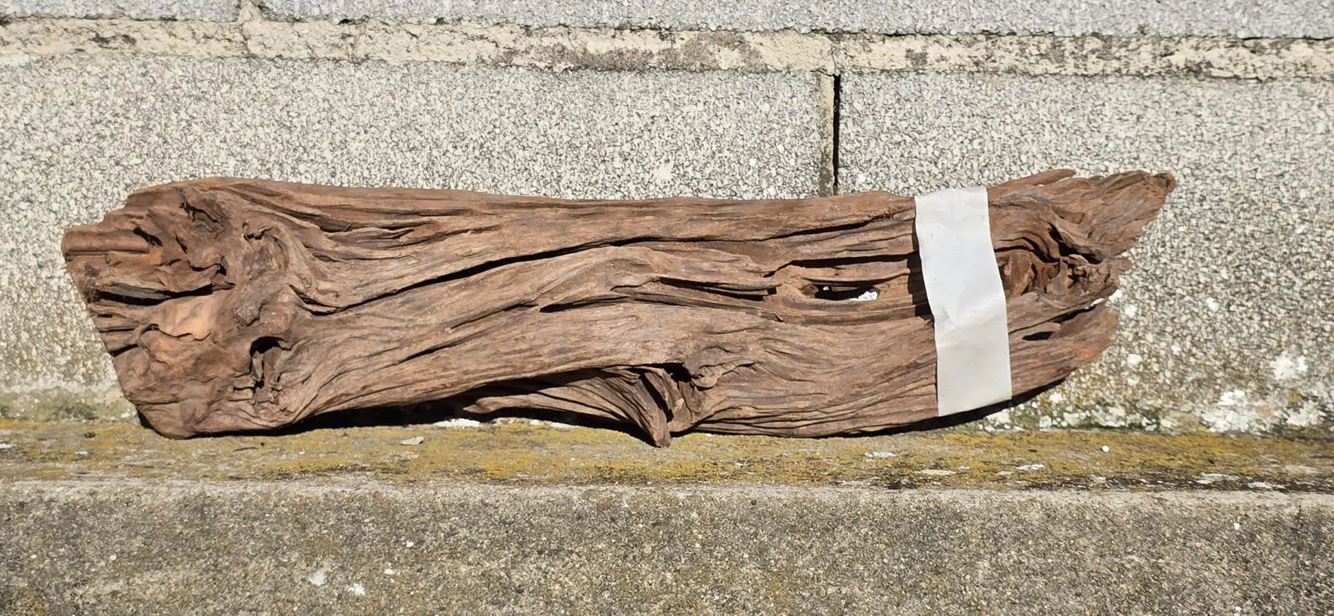 Drift Wood - 45*10*11 - cod.007 AQPET
