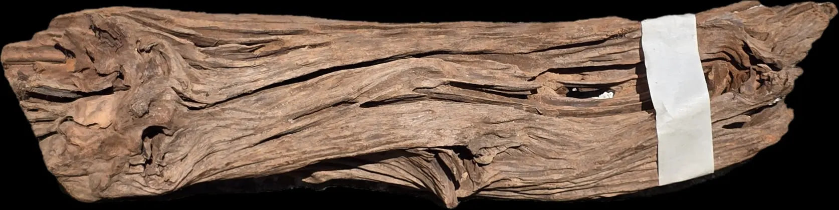 Drift Wood - 45*10*11 - cod.007 AQPET