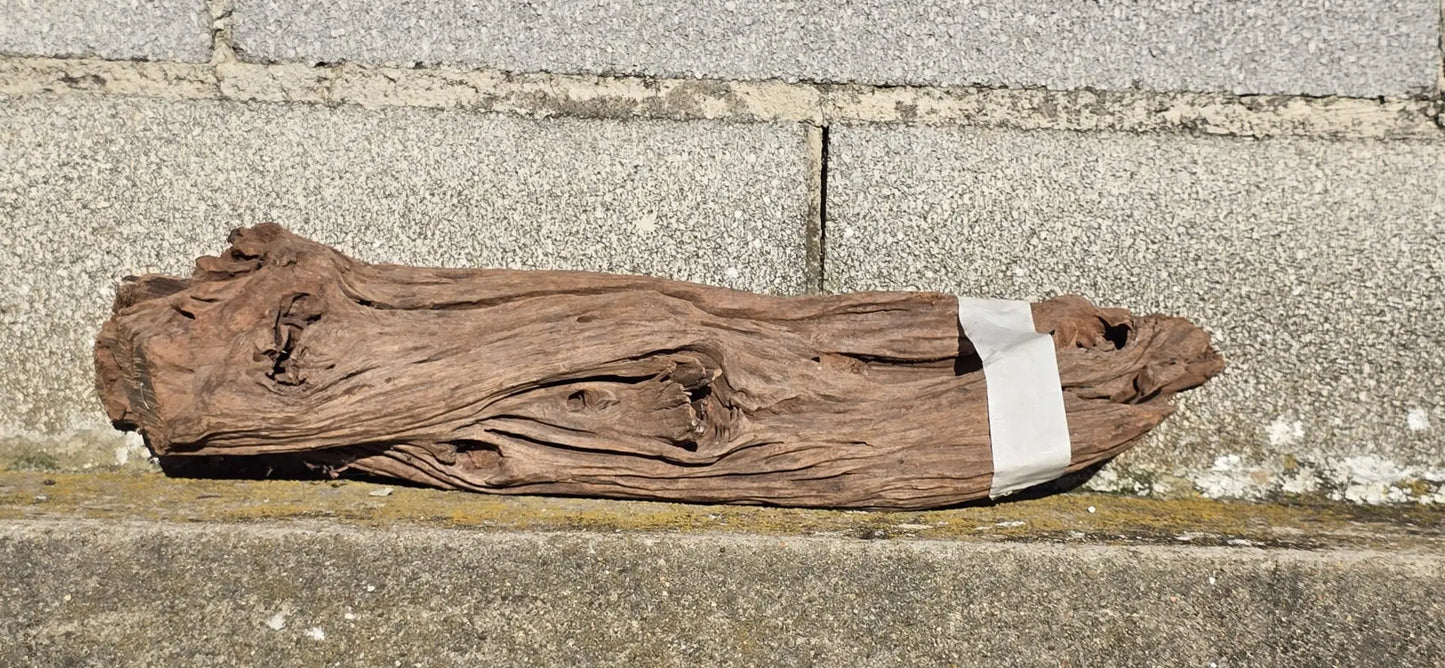 Drift Wood - 45*10*11 - cod.007 AQPET