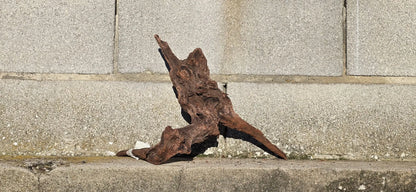 Drift Wood - 37*21*36 - cod.015 AQPET