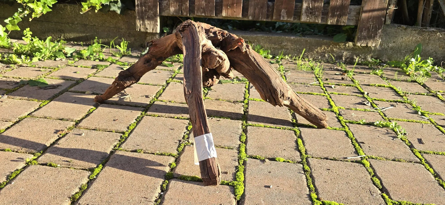 Drift Wood - 53*41*52 - cod.019 AQPET