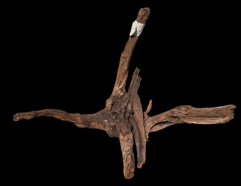 Drift Wood - 53*41*52 - cod.019 AQPET